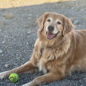 Meet your Posher, Chloe